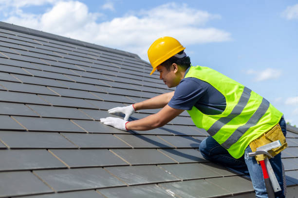 Best Roof Gutter Cleaning  in Palos Park, IL