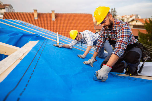 Best Metal Roofing Contractor  in Palos Park, IL